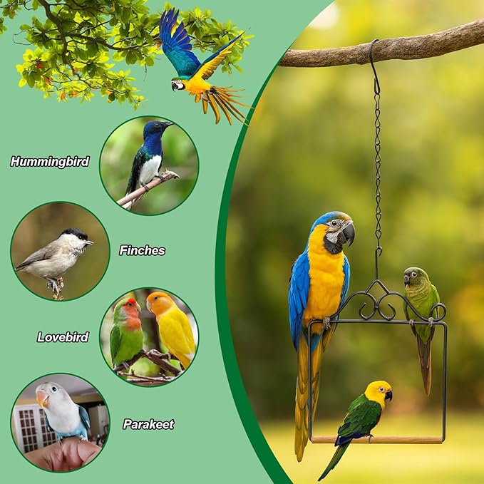 Hummingbird Swings and Perches Hummingbird Perch Humming Bird Swing for Hanging Indoor Outdoor Trunk Lawn Patio Garden
