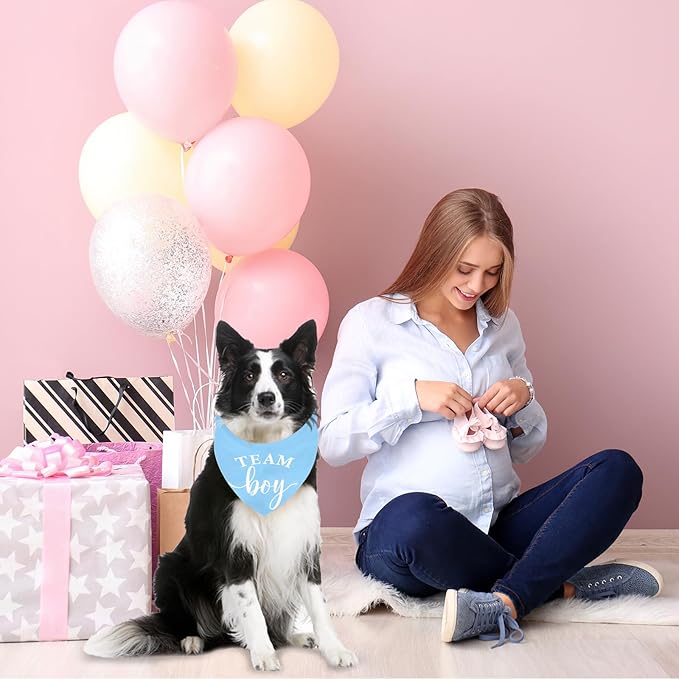 Whaline 2 Pack Gender Reveal Dog Bandana Team Boy Team Girl Triangle Pet Scarf Pink Blue Pregnancy Announcement Pet Neckerchief for Pets Daily Wear Photo Prop Party Supplies, 26.8 x 17.7 x 17.7 Inch