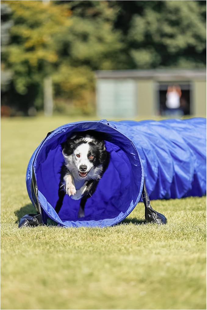 Trixie Dog Agility Tunnel– Dog Tunnel for Large Dogs Agility Training, Portable Dog Tunnel 196.9 in Long & 23.6 in Diameter, Dog Agility Equipment for Beginners & Advanced