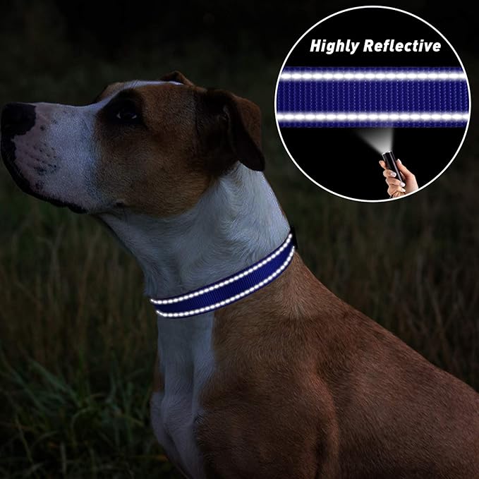 TagME Reflective Nylon Dog Collars, Adjustable Classic Pet Collar with Quick Release Buckle for Small Dogs, Royal Blue, 5/8" Width