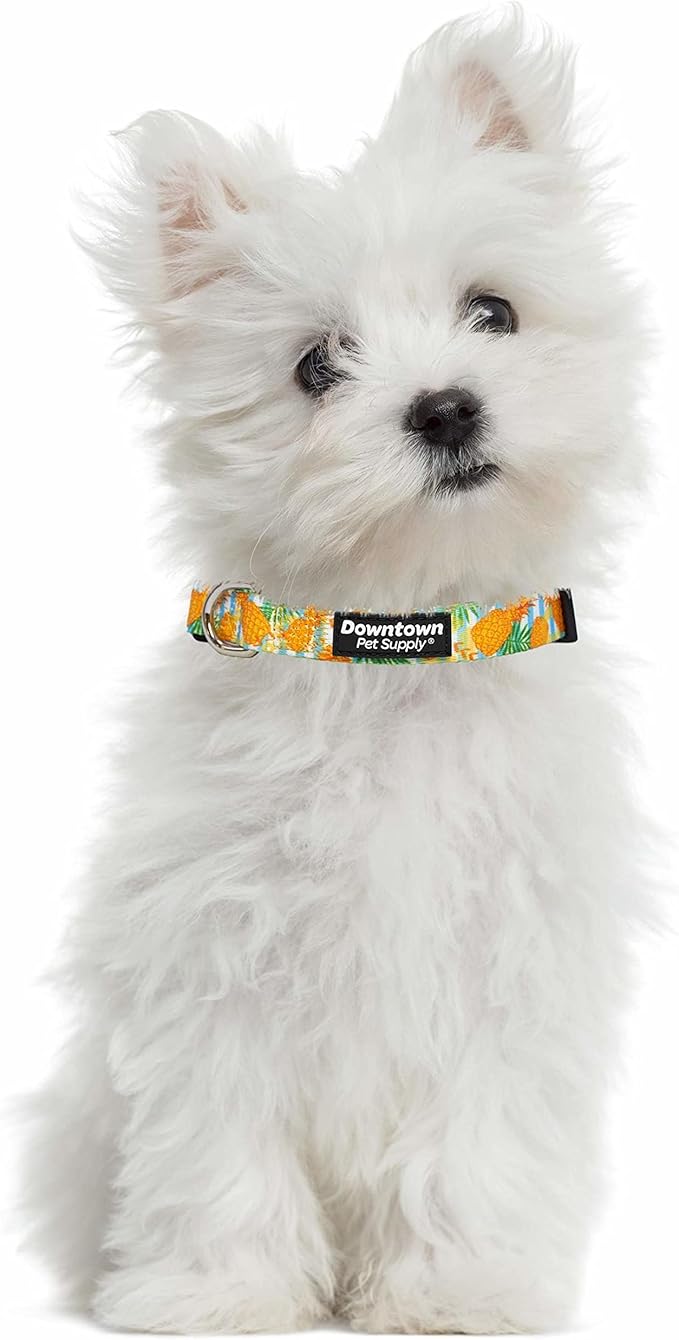 Downtown Pet Supply - Best & Fancy Dog Collar - Lightweight Adjustable with Quick Buckle & D-Ring - Hand Wash Safe - Pineapple - M - Medium