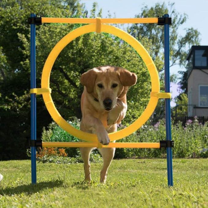 PAWISE Dog Agility Training Equipment, Puppy Agility Kit with Jump Ring, Adjustable Hurdles & Weave Poles, Outdoor Dog Obstacle Course for Backyard, Park Training, Portable Dogg Exercise Set