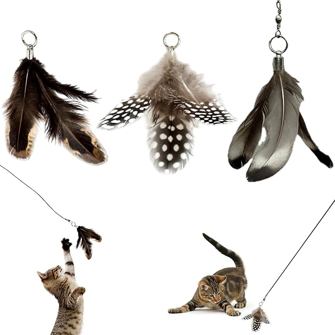 Feather Toys Replacements (3 Pc) - Cat Toys & Kitten Toys for Indoor Kittens, Set of Replacement Feather Attachments Extra Small and Durable, for Cat Wands, Natural and Safe
