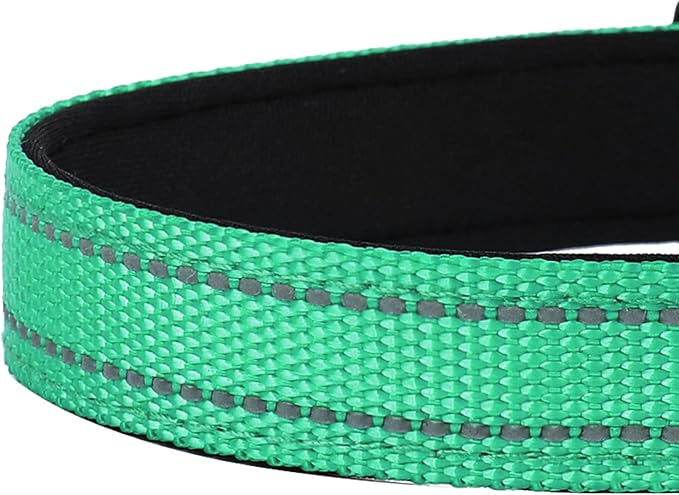 Reflective Dog Collar, Adjustable Soft Neoprene Padded Nylon Pet Collars with Buckle for Small Dogs, Grass Green,S