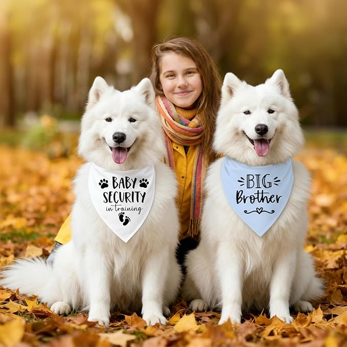 Big Sister&Baby Security in Training Dog Bandana, Dog Bandanas for Dogs Pet Accessories for Dogs Lovers Pregnancy Reveal Ideas, Soft Triangle Scarf for Small Medium Large Dogs (Big Brother Blue)