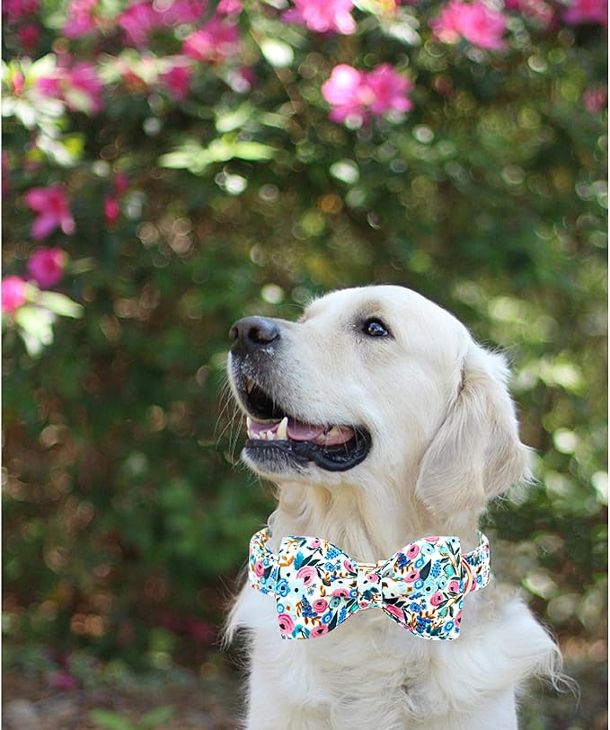Lionheart glory Dog Collar Bow Collar Floral Dog Collar with Bow Tie Spring Summer Cute Collar Dog Boy or Girl Dog Collars Soft Durable Adjustable Dog Collars for Small Dogs