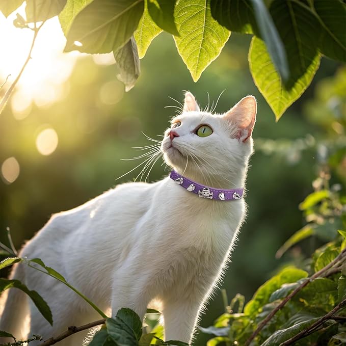 EXPAWLORER Leather Cat Collar for Girl Boy- Adjustable Pet Collar with Safety Elastic Belt,Personalized Punk Accessories Buckle Collars with Bell & Durable D-Ring, Rivet(Purple)