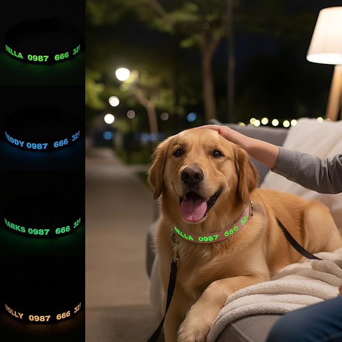 DOG WORLD Custom Fluorescent Dog Collar - Personalized Luminous Name & Phone Number for Night Safety, Fashionable & Easy-to-Use Pet Accessory, Ideal for Night Walks