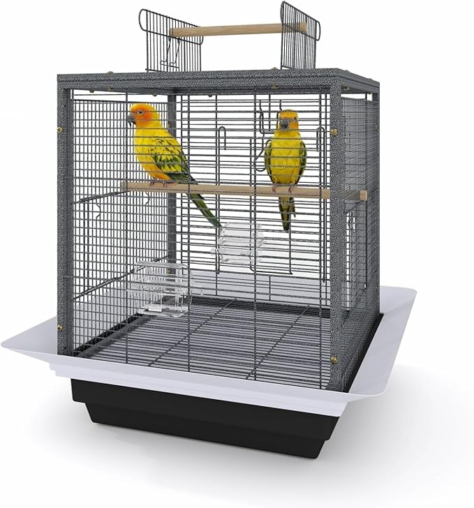 Bird Flight Cage 16 x 16 x 20 Inch, Wrought Iron Parrot Cage with Top Carry Handle, Food Cup, Removable Tray and Perches, Bird Carrier for Parakeet, Cockatiels, Budgies and Small Medium Birds
