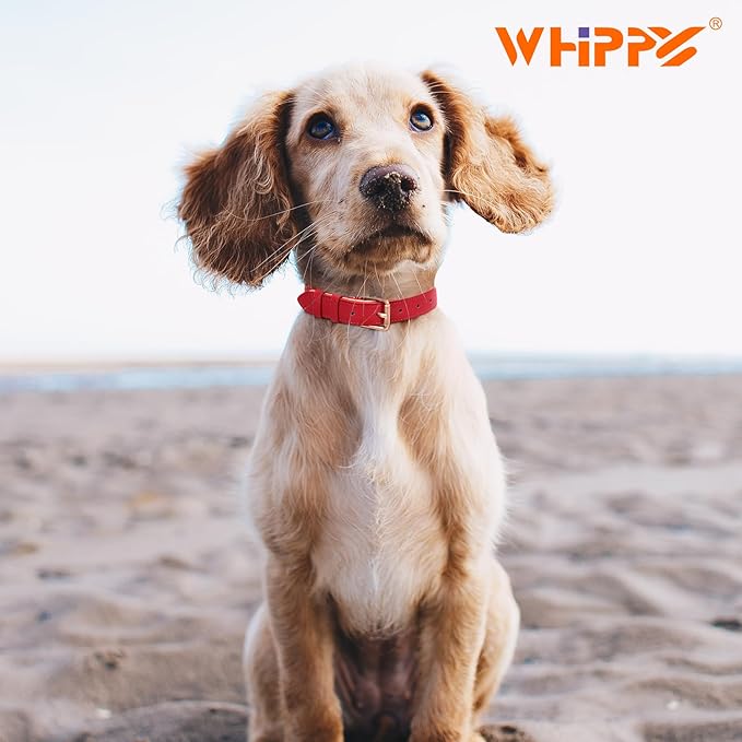 WHIPPY Leather Dog Collar for Small Medium Large Dog Adjustable Soft Breathable Leather Padded Puppy Collar with Alloy Buckle Heavy Duty Waterproof Classic Dog Pet Collar,red,S