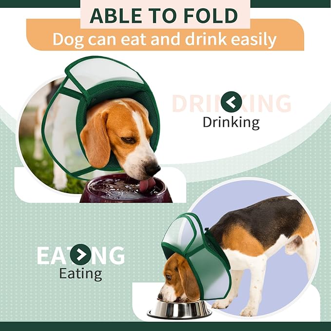 Allroaring Dog Cone, Soft Dog Cones for Small Dogs, Adjustable Doggie Cone Collar to Stop Licking, Professional Pet Recovery Cones E-Collar for Dogs Aftert Surgery Wound Healing, Green S