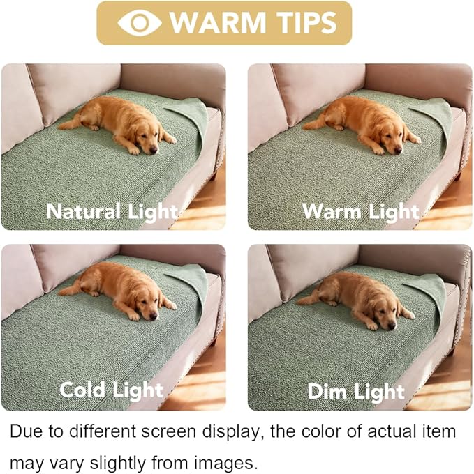H.VERSAILTEX Non Slip Pet Couch Cover Chenille Dog Bed Protector Thick Soft Sofa Slipcover Pet Friendly Washable Couch Cushion Covers for Pets (30" x 53", Sea Foam)