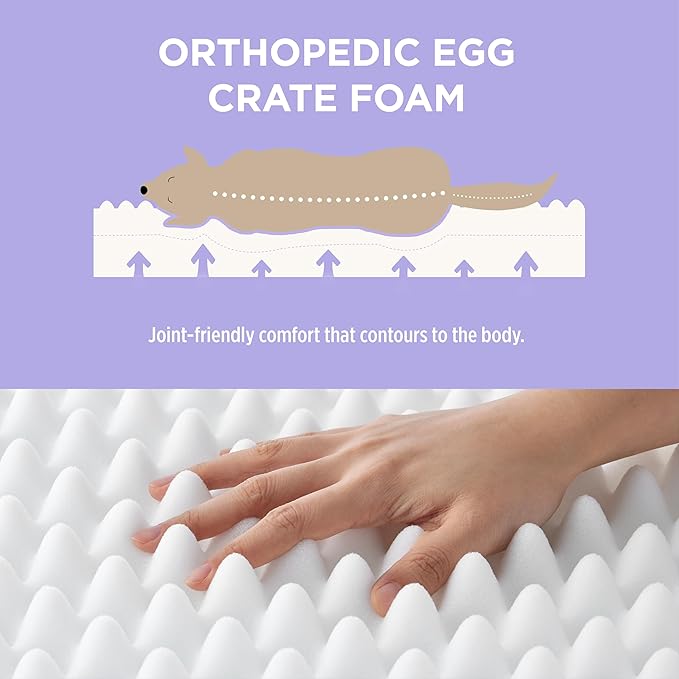 LE SURE Cute Orthopedic Dog Bed Large Sized Dog, Waterproof Chic Flat Pet Beds with Removable Washable Cover, Fuzzy Thick Egg Crate Foam Pet Mat for Indoor Use (36" x 27", Cream)