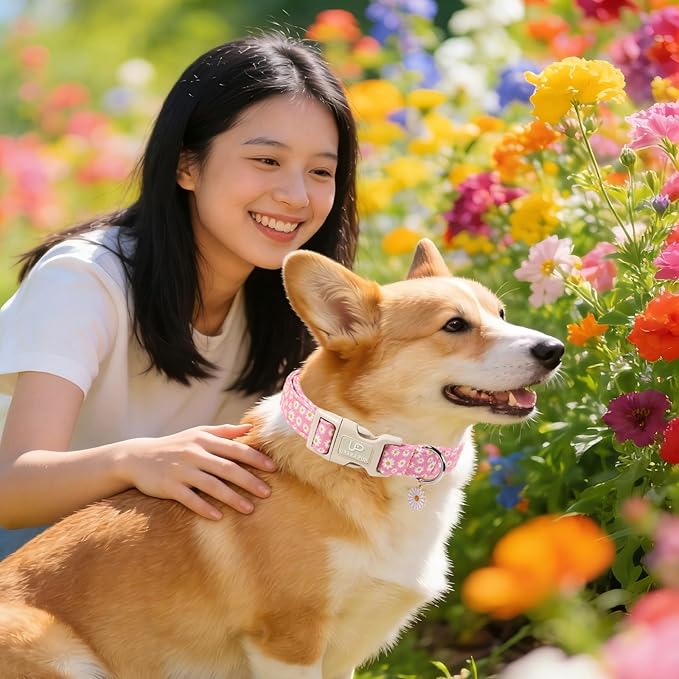 Daisy Dog Collar, Summer Cotton Dog Collar with Quick Release, Gift Pink Collars for Small Medium Large Girls or Boys Dogs Cute Durable Comfortable Pet Collars