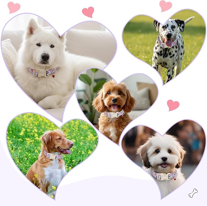 Easter Dog Collar for Mediuml Dogs, Easter & Spring Theme Medium Dog Collar with Cute Chick & Bunny Pattern, Adjustable Purple Easter Dog Collars Girl Boy Collar for Dogs -M
