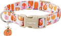 Faygarsle Fall Pumpkin Pattern Dog Collar with Charm, Adjustable Neckwear for Small Medium Large Dogs, Orange and Pink for Small Medium Large Dogs XS
