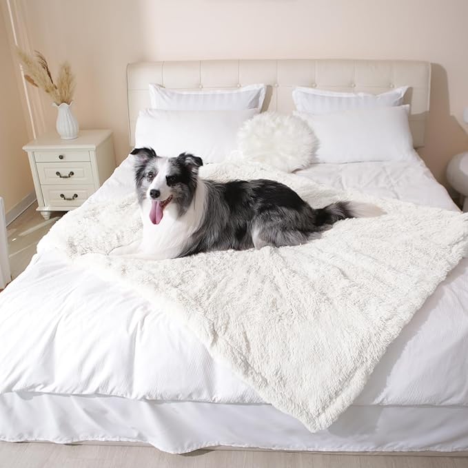 gogobunny Waterproof Dog Blanket for Couch & Furniture Protection - Super Soft Reversible Throw for Large Dogs & Cats, Calming Washable Fur & Sherpa Pet Blanket (60x80 Inch, Cream)