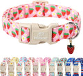Cute Spring/Summer Dog Collar, Adjustable Pink Strawberry Dog Collars for Large Dogs, Lightweight Quick-Release Buckle Collar for Boy&Girl Dogs L