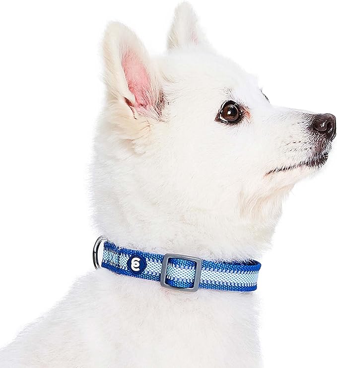 Blueberry Pet Large Dog Collar in Reflective Navy Blue | Adjustable Classic Nylon Strap for Big Breeds | Durable, Stylish & High-Visibility Dog Gear