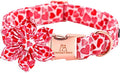 Lionheart glory Valentine's Day Dog Collar with Flower Dog Collars Red Hearts Dogs Collar with Bowtie for Large Dogs Spring Puppy Pet Collars Bows