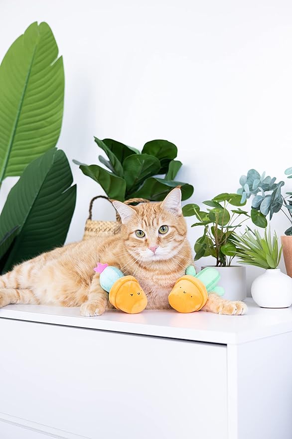 Pearhead Prickly Plants Cat Toy Set, Cute Catnip Toys, Plush Cactus Interactive Chew Toys, Pet Owner Must Have Catnip Toys, Set of 2 Plush Toys
