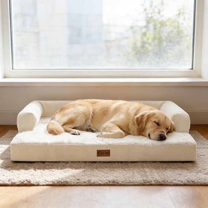 Orthopedic Dog Beds for Extra Large Dogs, Waterproof Egg Crate Foam XL Dog Bed with Sides 48x30Inch, Big Dogs Couch Beds with Removable Washable Cover and Nonskid Bottom, Beige