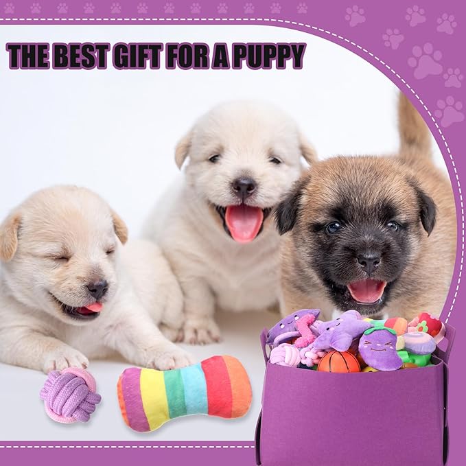 Abbylike 50 Pcs Puppy Supplies Starter Kit for Small Dogs Puppy Essentials Includes Leash, Bowls, Teeth Brushes, Water Bottle, and More Accessories for Dogs Pet Day Welcome Gift(Purple)