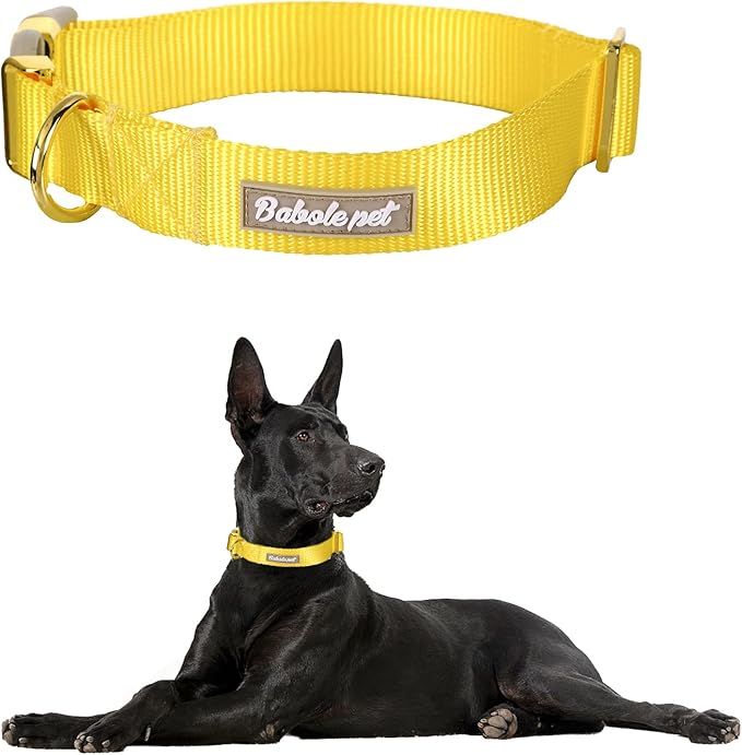 Nylon Dog Collar - Adjustable Yellow Soft Webbing Dog Collars for Small Medium Large Dogs Boy Girl Puppy Collar with Safety Metal Buckle L