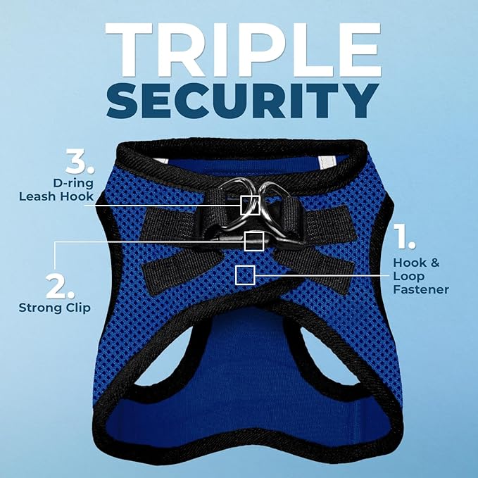 Best Pet Supplies Voyager Step-in Air All Weather Mesh Harness and Reflective Dog 5 ft Leash Combo with Neoprene Handle, for Small, Medium and Large Breed Puppies - Royal Blue/Black Trim, Medium