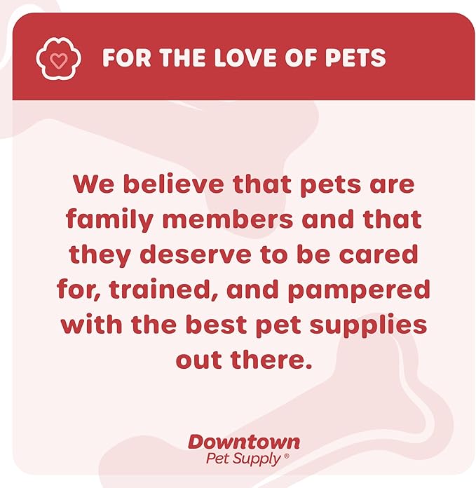 Downtown Pet Supply Step in Dog Harness for Small Dogs No Pull, X-Small, Hunter Green - Adjustable Harness with Padded Mesh Fabric and Reflective Trim - Buckle Strap Harness for Dogs