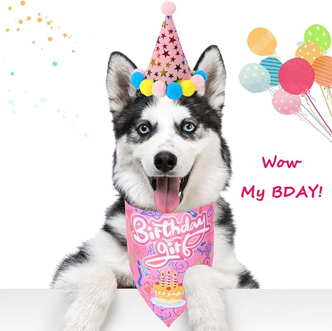 Happy Girl Dog Puppy Doggy Pet Birthday Burthday Party Supplies Hat Bandana Decorations Lets Pawty Banner Decor Dog Bowtie Gifts Outfit Stuff Accessories for Small Medium Large Dogs