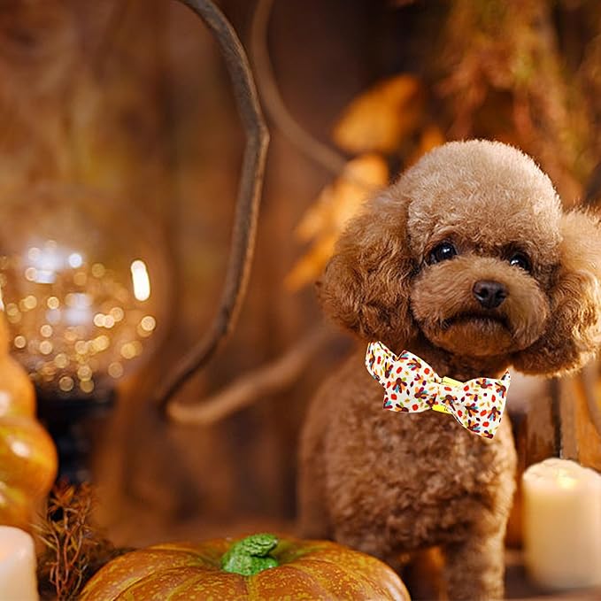 Thanksgiving Dog Collar, Turkey Dogs Collars Bow Tie Pet Collar Adjustable Pet Collars Premium Metal Buckle Autumn Leaf Necklace for X-Small Dogs