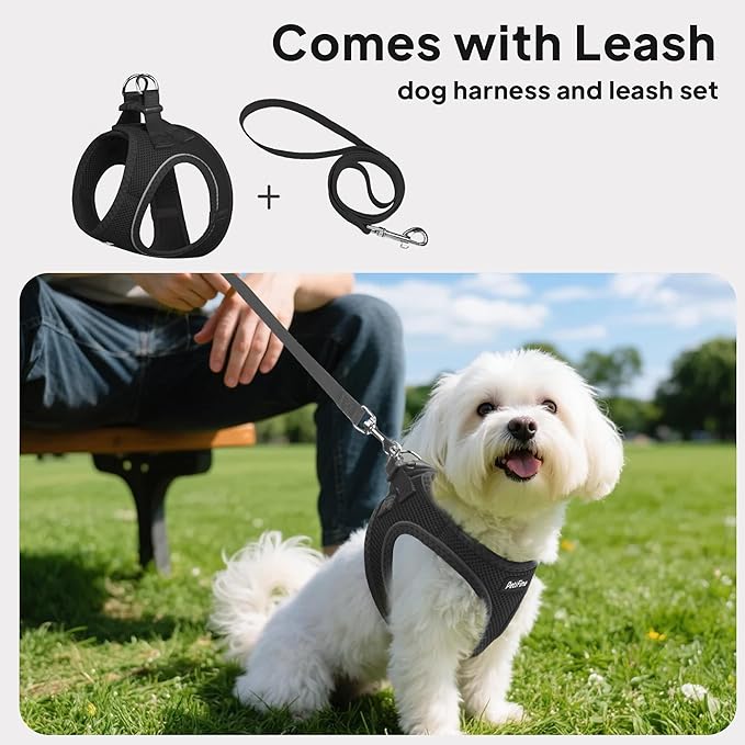 PetiFine Step in Small Dog Harness and Leash Set, Breathable All Weather Air Mesh Reflective Escape Proof, Step-in Vest Harnesses for Puppy(S, Black)