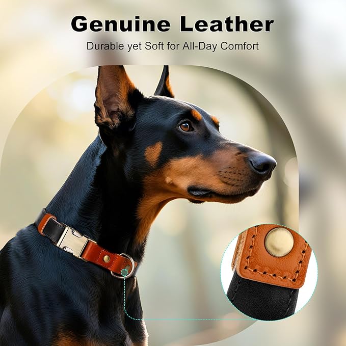 Plutus Pet Genuine Leather & Hemp Dog Collar – Adjustable Heavy Duty Pet Collar with Quick Release Metal Buckle, Soft & Stylish for Puppy and Small, Medium, Large Dogs (Black, S)