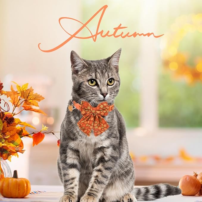SCENEREAL Fall Cat Collar with Bell & Stylish Bowtie, Turkey Maple Leaf Pattern Breakaway Cat Collars Accessories for Boy Girl Small Cats, Holiday Thanksgiving Kitten Costumes for Female Male Pets