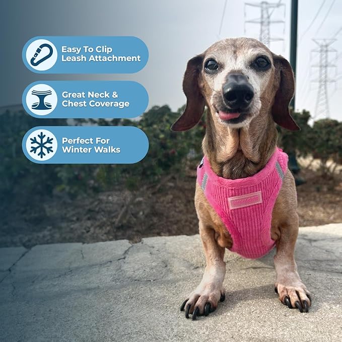 Best Pet Supplies - All Weather Plush, Reflective, No Pull Harness for Small, Medium Dogs, Cats - Secure with Hook & Loop Fastener, Buckle, Double D-Rings - Fuchsia Corduroy, XS