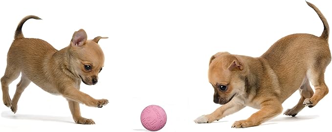 Snug Rubber Dog Balls for Small and Medium Dogs - Tennis Ball Size - Virtually Indestructible (3 Pack - Chic)