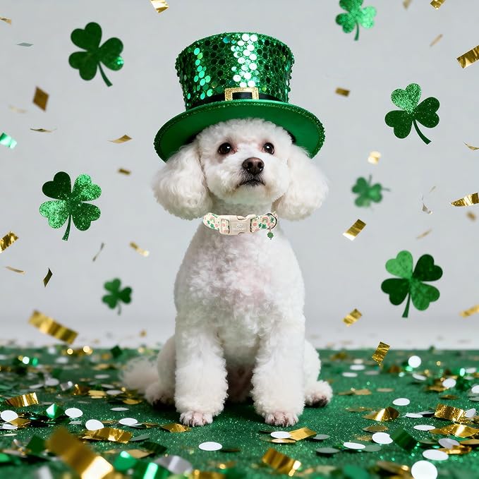 St. Patrick's Day Dog Collar for Large Dogs - Cute Shamrock & Rainbow Print Dog Collars, Irish Green Party Puppy Collar, Lightweight Adjustable St. Patricks Day Pet Collars L