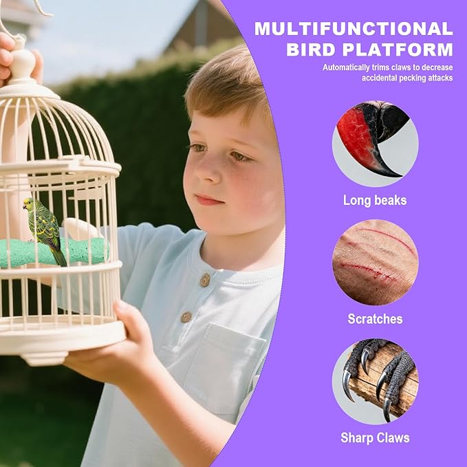 2pcs Bird Beak Grinding Stone, Resin Anti-Slip Beak Grinder Stone Bird Nail Trimming Claw Trimmer Perches Parrot Cage Stand Toys for Budgie Cockatiel Conure Parakeet Cage Accessories (Green, Purple)