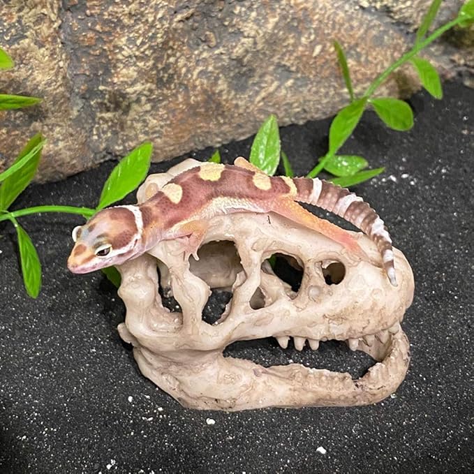 2 Pack Dinosaur Aquarium Decorations Skull Aquarium Ornament Mini Dinosaur Mold Decoration Tank Reptile Hide Decor with Holes Fish Tank Landscape Reptile Betta Fish Hideout Caves
