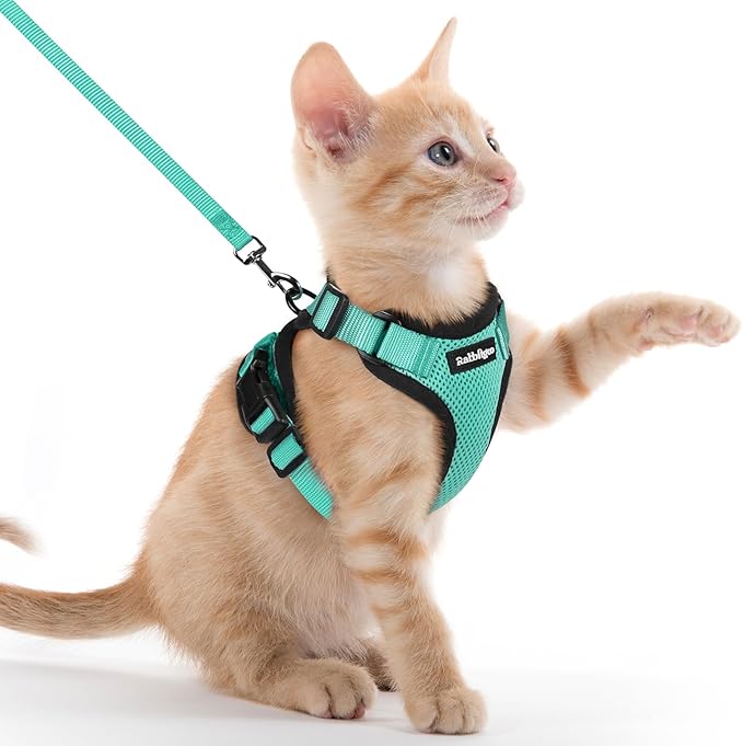 rabbitgoo Cat Harness and Leash for Walking, Escape Proof Soft Adjustable Vest Harnesses for Cats, Easy Control Breathable Reflective Strips Jacket, Emerald, XXS