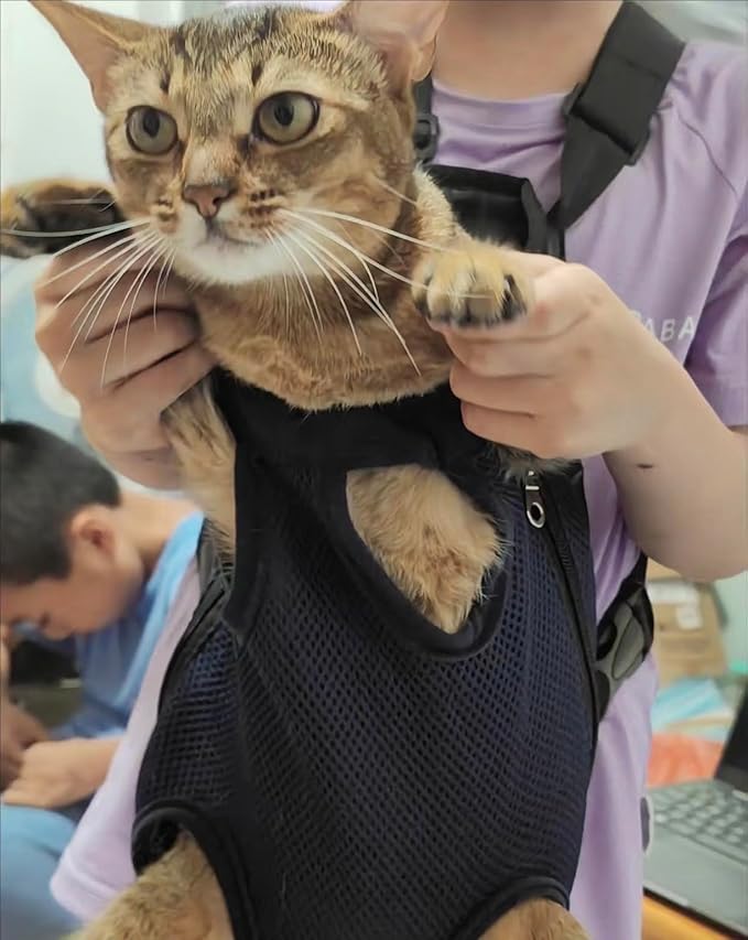 Pet Carrier Backpack - Adjustable Pet Front Cat Dog Carrier Backpack Travel Bag,Legs Out,Easy-Fit for Traveling Hiking Camping for Small Medium Dogs Cats Puppies. (Deep Purple, Medium)