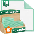 Disposable Bed Pads 40"X40" Extra Large Pee Pads for Incontinence 140 Gram Heavy Duty Super Absorbent Underpads Waterproof Chucks Pads for Adults, Elderly or Pets [100x100CM, 10pcs]