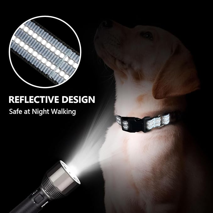 Martingale Dog Collar, Adjustable Nylon Reflective Collar with Quick Release Buckle (Ice Blue, Small)