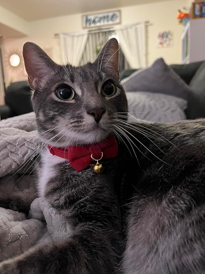 Soft Corduroy Cat Collar with Bell and Bowtie, Safety Breakaway Clasp, Adjustable for Kitten and Cats Red Color.