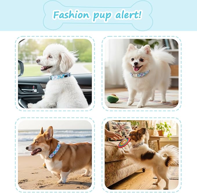 Cotton Collar for Dog，Soft Adjustable Dog Collars for Large Dogs, Cute Dog Collar with Blue & White Plaid for Small Medium Large Dogs, Perfect for Girl or Boy Dog Collars-L
