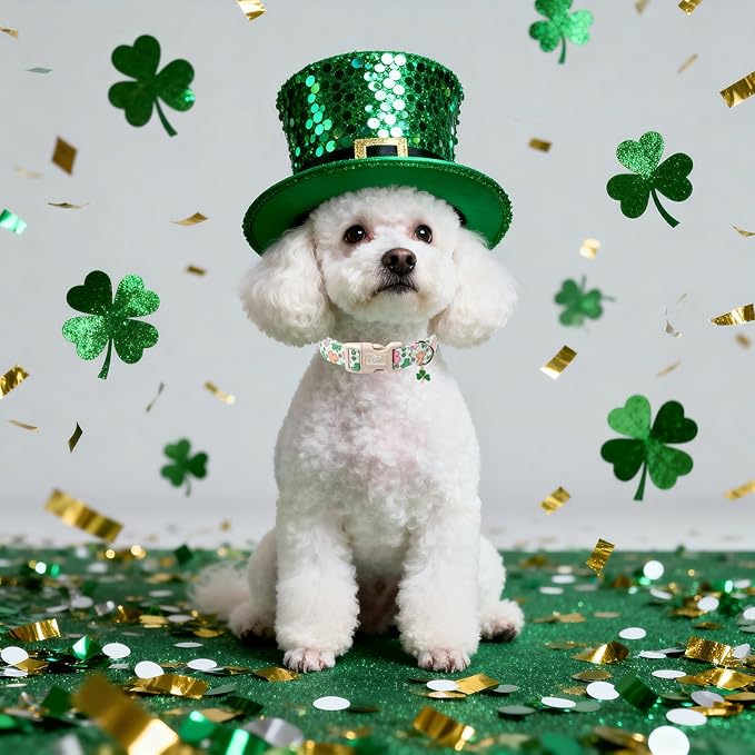 St Patricks Day Dog Collar for Small Dogs - Cute Pastel Lucky Clover Dog Collars, Lightweight Adjustable Irish Green Festival Dogs Collars with Quick Release Buckle S