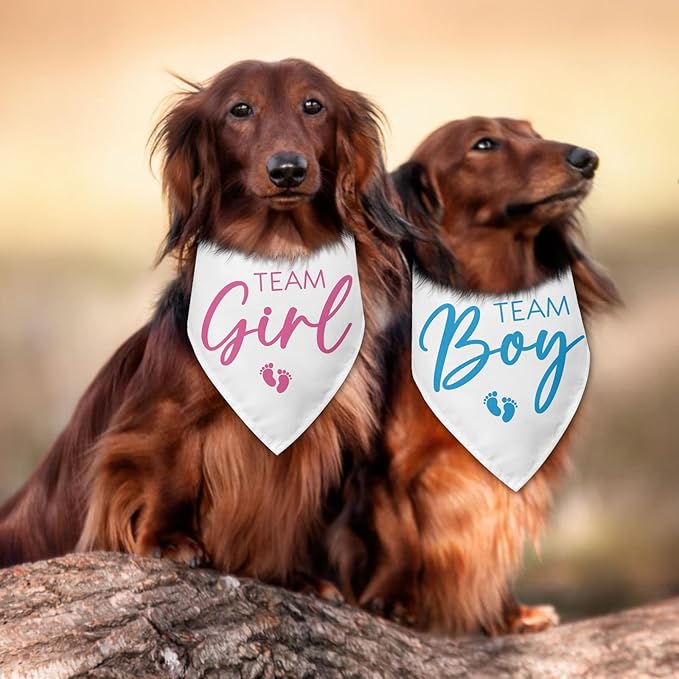 2 Packs Team Girl Team Boy Gender Reveal Baby Announcement Dog Bandana Pet Pregnancy Announcement Pink and Blue Dog Triangle Scarf Accessories for Small Medium Large Dogs Cats