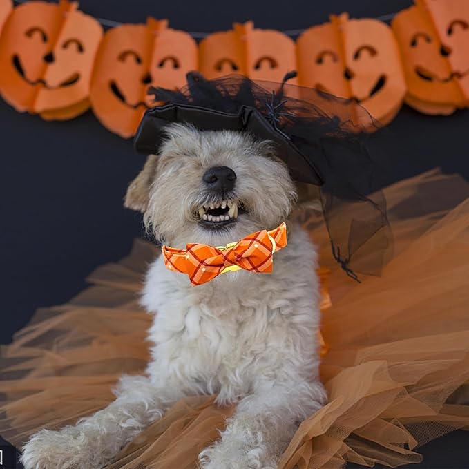 Fall Dog Collar, Pet Collar Bow Orange Plaid Dog Collar Girl Boy Holiday Pet Collar Gift Collars Cute Soft Puppy Collars for Small Dogs