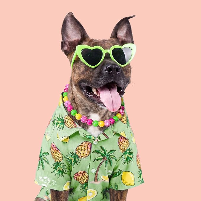 Beaded Dog Necklace Collar, Adjustable Jewelry-Inspired Design with Sparkle Beads (Vivid Tropics, Medium)